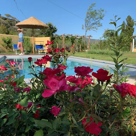 Сasa de vacaciones La Cellula Marina di Campo