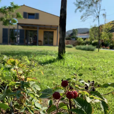 Сasa de vacaciones La Cellula Marina di Campo