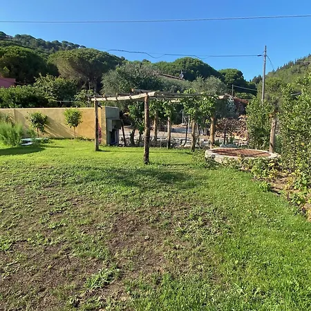 La Cellula Marina di Campo