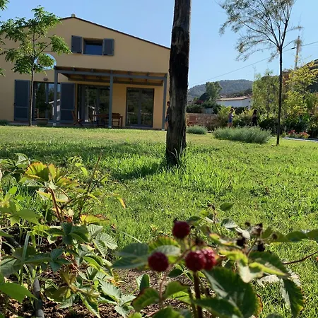 La Cellula * Marina di Campo