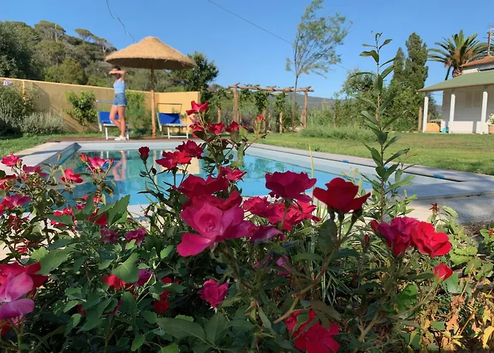 Vakantiehuis La Cellula Marina di Campo