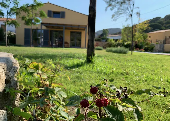 Vakantiehuis La Cellula Marina di Campo