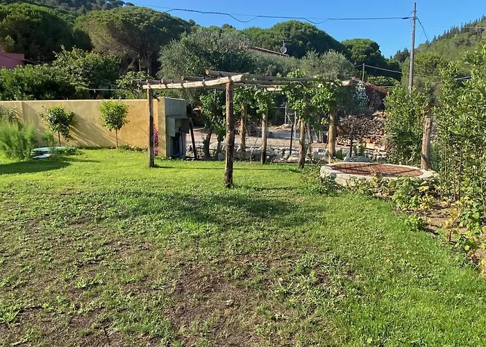 La Cellula Marina di Campo